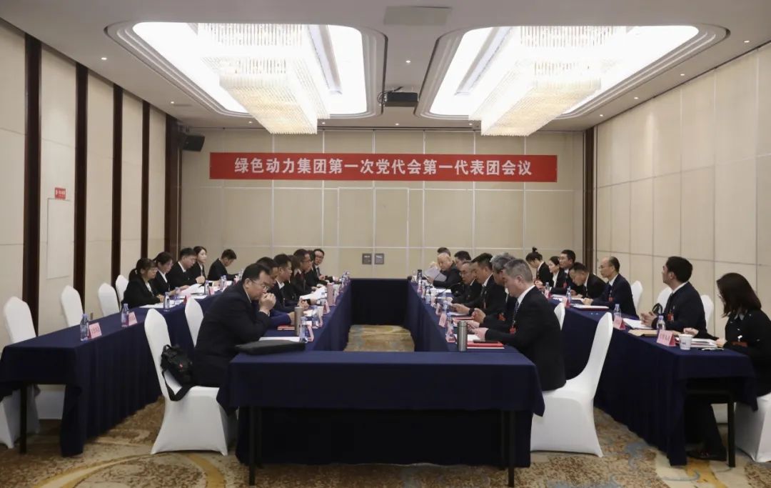 铭刻使命再出发，，，，，，，，代表热议“两委”报告